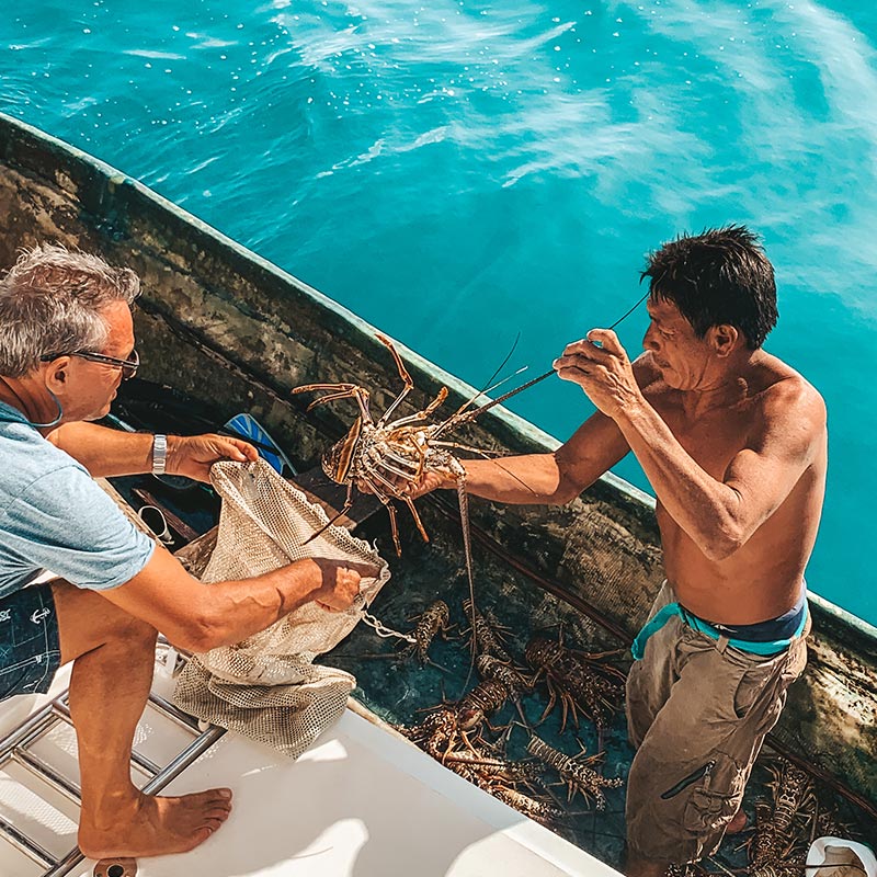 Fresh Lobters in Cocoloco Charter in San Blas Panama