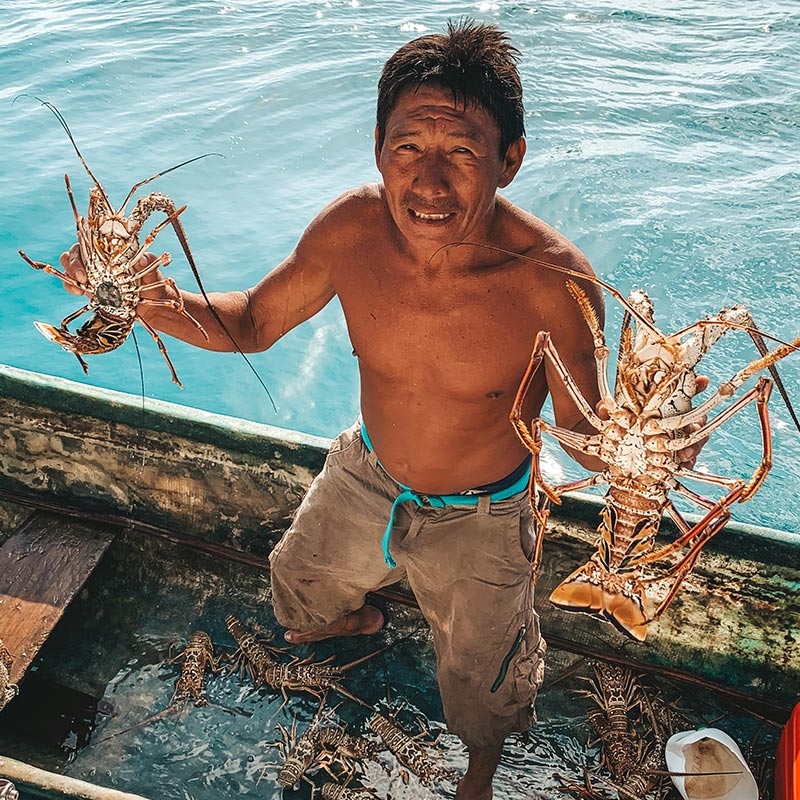 Kuna Lobters San Blas