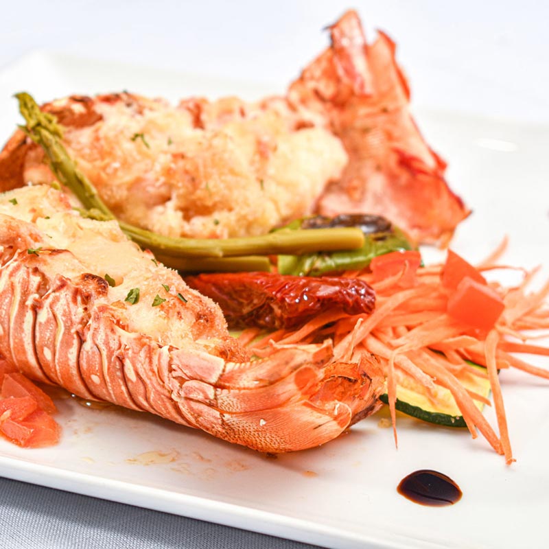 Menu Boat rental in san blas