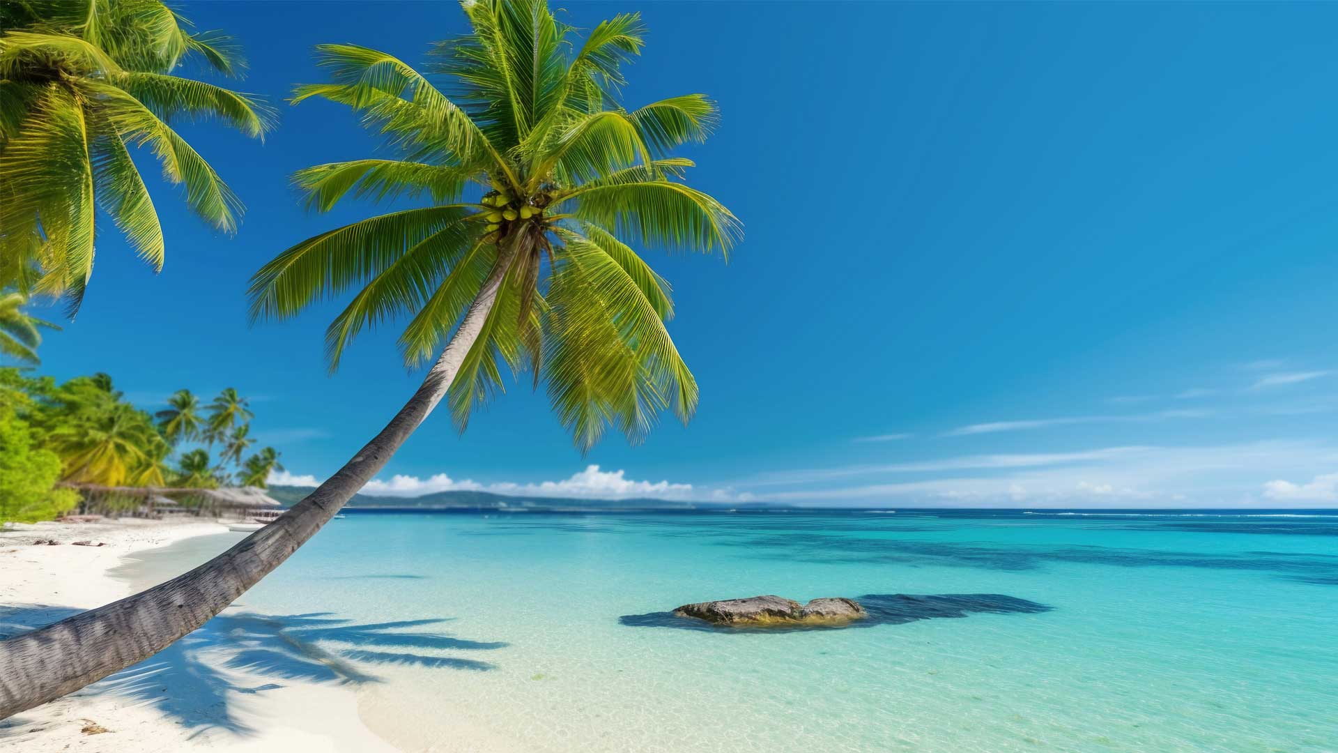 The Most Popular Charter Operator in San Blas, Panama: Why Travelers Choose Us